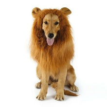 Load image into Gallery viewer, Lion Theme Dog Wig
