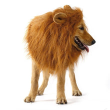 Load image into Gallery viewer, Lion Theme Dog Wig
